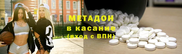 прущие грибы Покровск