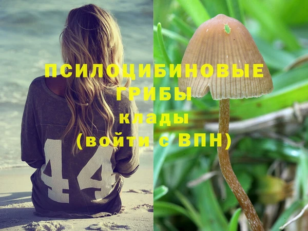 герыч Протвино