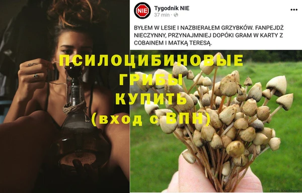 гашик Пролетарск
