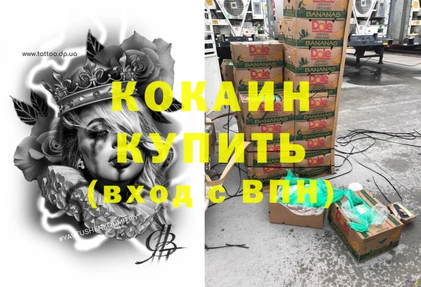 прущие грибы Покровск
